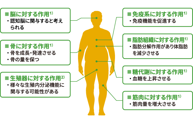 working-2-2.png working-img-2